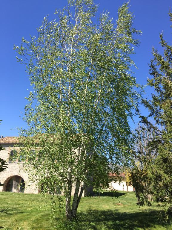 Agriturismo Le Due Arcate Villa San Massimo  Exterior foto